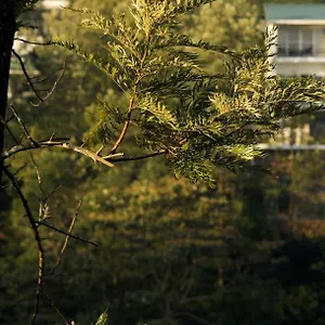 Falcon Crest Resort Vagamon